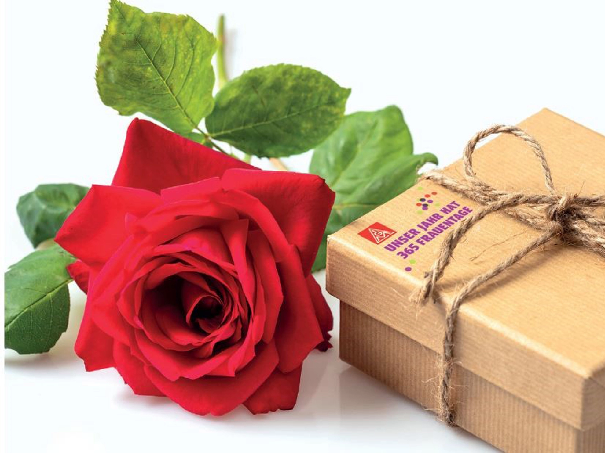 Bild mit Rose zum Internationalen Frauentag